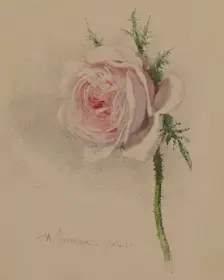 A Rose, 1841. Creator: Henry Inman
