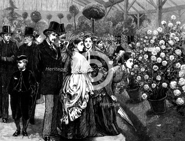 A rose show at the Horticultural Society's Gardens, South Kensington, 1873. Creator: Unknown.