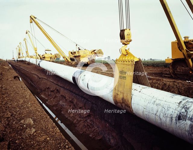 A row of Caterpillar 583 pipelayers with side booms, lifting the Fens gas pipeline, Norfolk, 08/1967 Creator: John Laing plc.