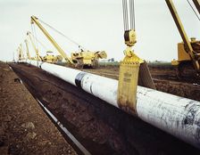 A row of Caterpillar 583 pipelayers with side booms, lifting the Fens gas pipeline, Norfolk, 08/1967 Creator: John Laing plc