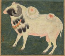 A royal ram with a gold chain, c. 1585; border added probably 1700s. Creator: Unknown