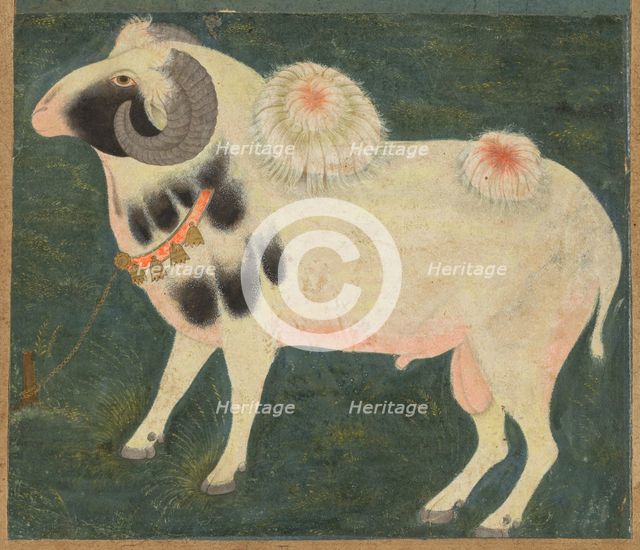 A royal ram with a gold chain, c. 1585; border added probably 1700s. Creator: Unknown.
