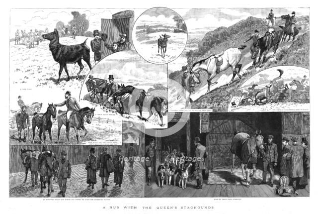 ''A run with the Queen's Staghounds', 1890. Creator: Unknown.