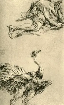 A running Ostrich 1752-1753, (1928). Artist: Giovanni Battista Tiepolo