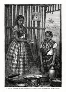 A Rural Kitchen in the Tierras Calientes Mexico, 1877