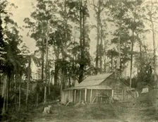 A Rustic Dwelling 1901. Creator: Unknown