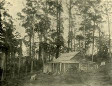 A Rustic Dwelling 1901. Creator: Unknown