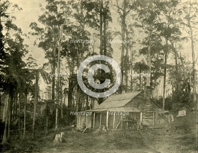 'A Rustic Dwelling', 1901. Creator: Unknown.