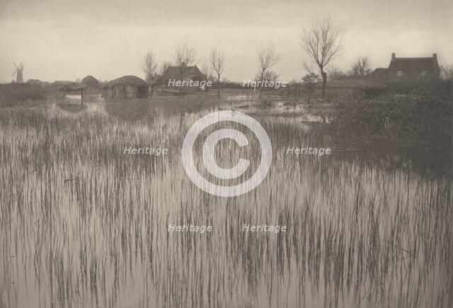 A Rushy Shore, 1886. Creator: Dr Peter Henry Emerson.