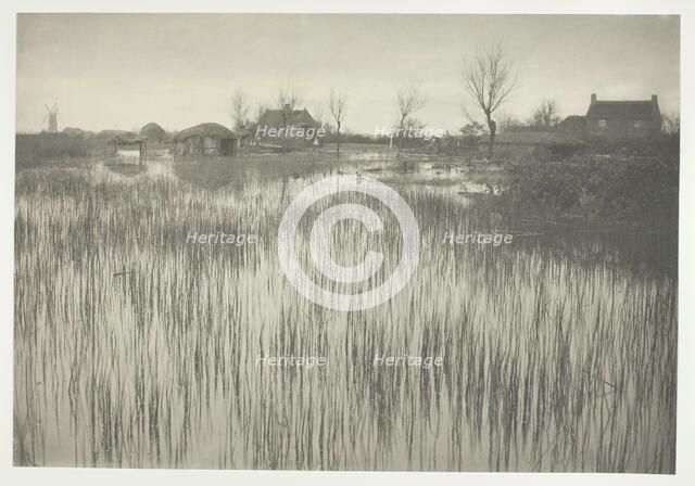 A Rushy Shore, 1886. Creator: Peter Henry Emerson.