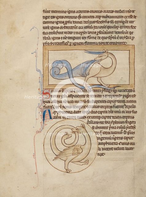 A Scitalis; An Amphisbaena; Northumberland Bestiary, about 1250-1260. Creator: Unknown.