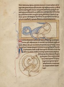 A Scitalis; An Amphisbaena; Northumberland Bestiary, about 1250-1260. Creator: Unknown