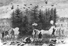 A Sandringham bouquet, 1870. Creator: S. C. Carter