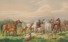 A saddled military horse returns to its wild herd, 19th century. Creator: Johann Erdmann Gottlieb Prestel