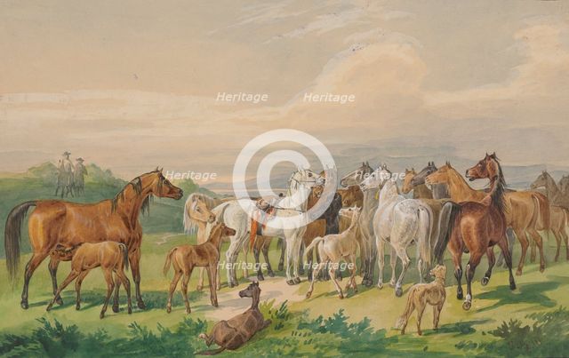 A saddled military horse returns to its wild herd, 19th century. Creator: Johann Erdmann Gottlieb Prestel.