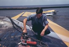 A sailor mechanic refueling a plane at the Naval Air Base, Corpus Christi, Texas, 1942. Creator: Howard Hollem