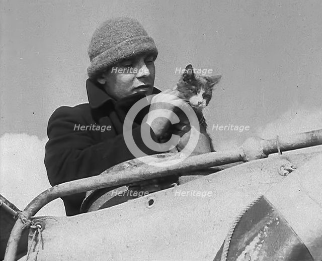 A Sailor With a Cat, 1943. Creator: British Pathe Ltd.