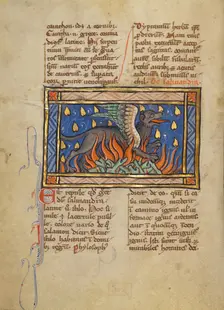 A Salamander; Bestiary, about 1270. Creator: Unknown
