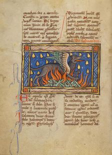 A Salamander; Bestiary, about 1270. Creator: Unknown