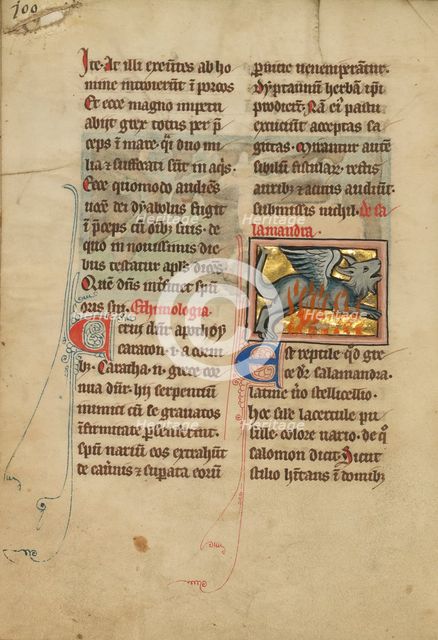 A Salamander; De Natura Avium; De Pastoribus et Ovibus, 1277 or after. Creator: Unknown.