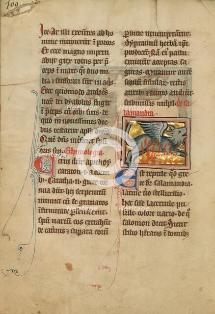 A Salamander; De Natura Avium; De Pastoribus et Ovibus, 1277 or after. Creator: Unknown.