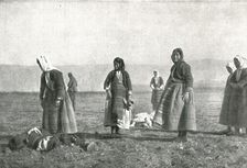 A Salonique; Apres sa difficile retraite de Serbie, rentre a sa base de Salonique..., 1915 (1924) Creator: Unknown