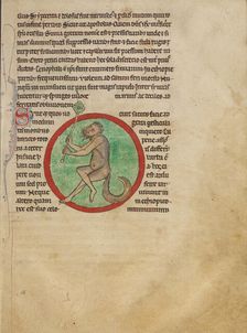 A Satyr; Northumberland Bestiary, about 1250-1260. Creator: Unknown