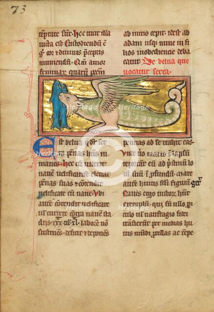 A Sawfish, 1277 or after. Creator: Unknown.