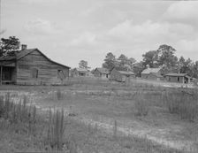 A sawmill village, abandoned after the closing of the mill, Careyville, Florida, 1937. Creator: Dorothea Lange