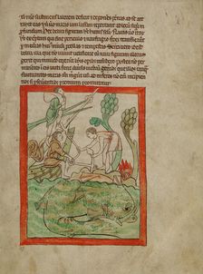 A Sea Creature; Northumberland Bestiary, about 1250-1260. Creator: Unknown