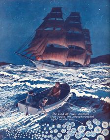 A Sea Illuminated By Living Nightlights 1935