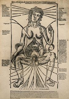 A seated female figure with a dissected abdomen, c1525-1530 (woodcut). Creator: Unknown