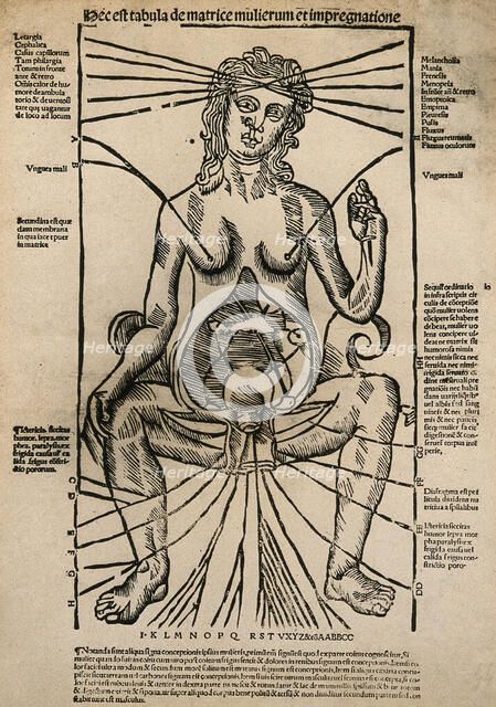 A seated female figure with a dissected abdomen, c1525-1530 (woodcut). Creator: Unknown.
