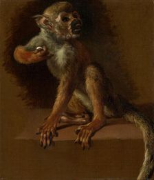 A Seated Monkey, before 1685. Creator: Jan Weenix