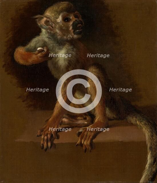 A Seated Monkey, before 1685. Creator: Jan Weenix.