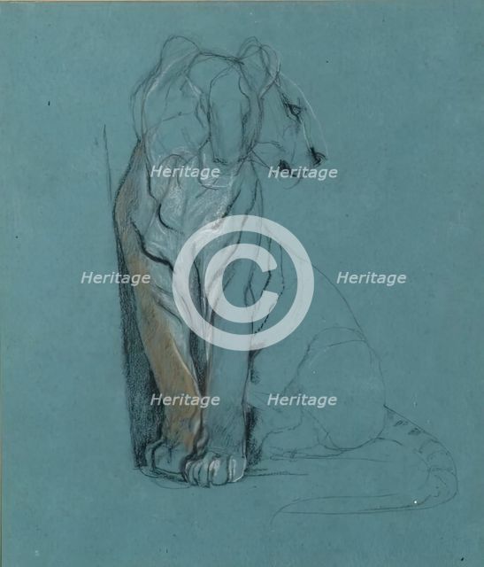 A Seated Tiger, 1900-1910. Creator: John MacAllan Swan.