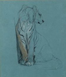 A Seated Tiger, 1900-1910. Creator: John MacAllan Swan