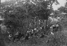 A search party of 7 people on Askold Island, 1865-1871. Creator: VV Lanin