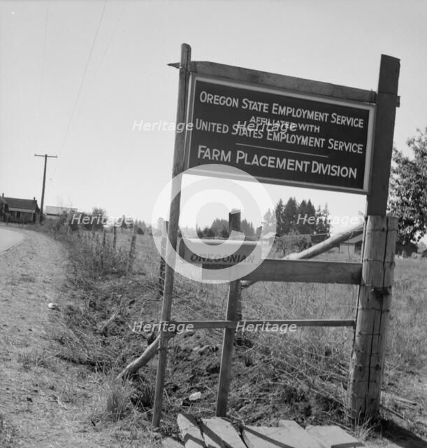 A seasonal office is maintained by the State..., near West Stayton, Marion County, Oregon, 1939. Creator: Dorothea Lange.