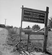 A seasonal office is maintained by the State..., near West Stayton, Marion County, Oregon, 1939. Creator: Dorothea Lange