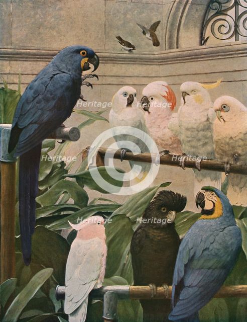 'A Select Committee', 1891, (c1930). Creator: Henry Stacy Marks.
