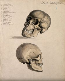 A skull: two figures, 1880. Creator: Adele Mongredien