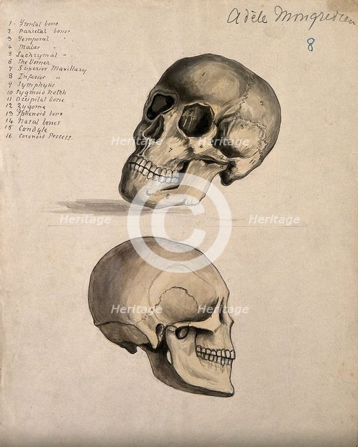A skull: two figures, 1880. Creator: Adele Mongredien.
