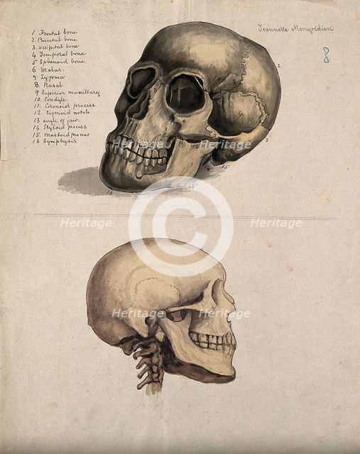 A skull: two figures, 1880. Creator: Jeannette Mongredien.