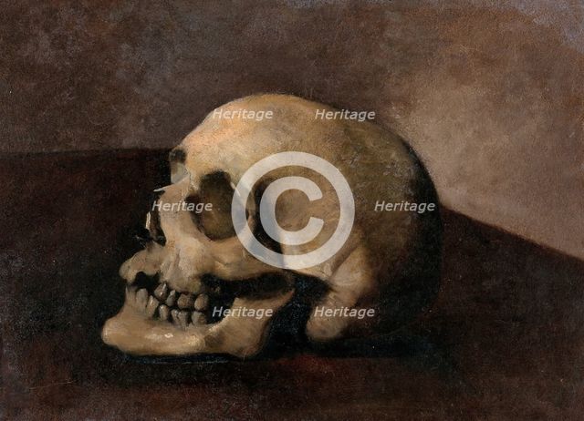 A skull. Creator: Unknown.
