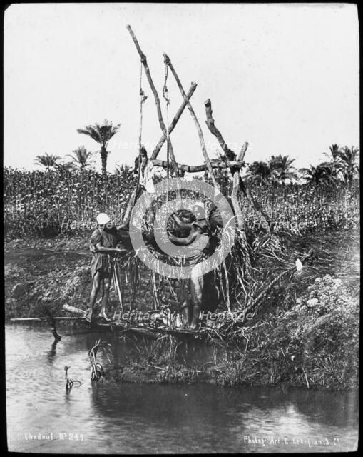 A shaduf on the Nile, Egypt, c1890. Artist: G Lekegian