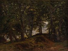 A shady spot at Hestehave near Frederiksborg, 1860. Creator: Godtfred Rump