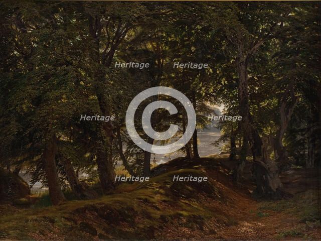 A shady spot at Hestehave near Frederiksborg, 1860. Creator: Godtfred Rump.