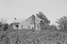 A sharecropper's buildings and fields, Hale County, Alabama, 1936. Creator: Walker Evans