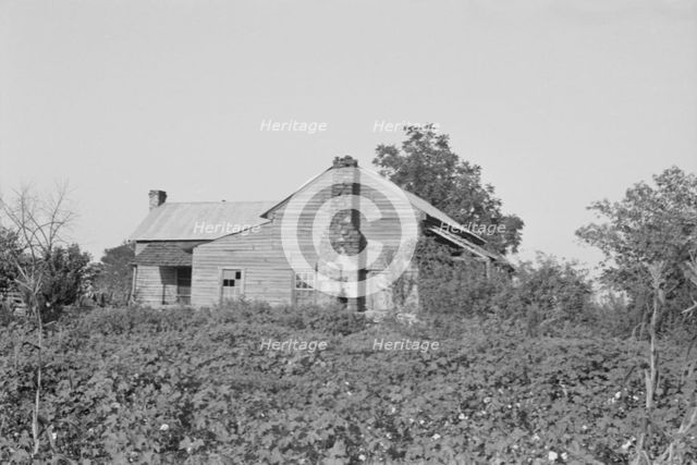 A sharecropper's buildings and fields, Hale County, Alabama, 1936. Creator: Walker Evans.